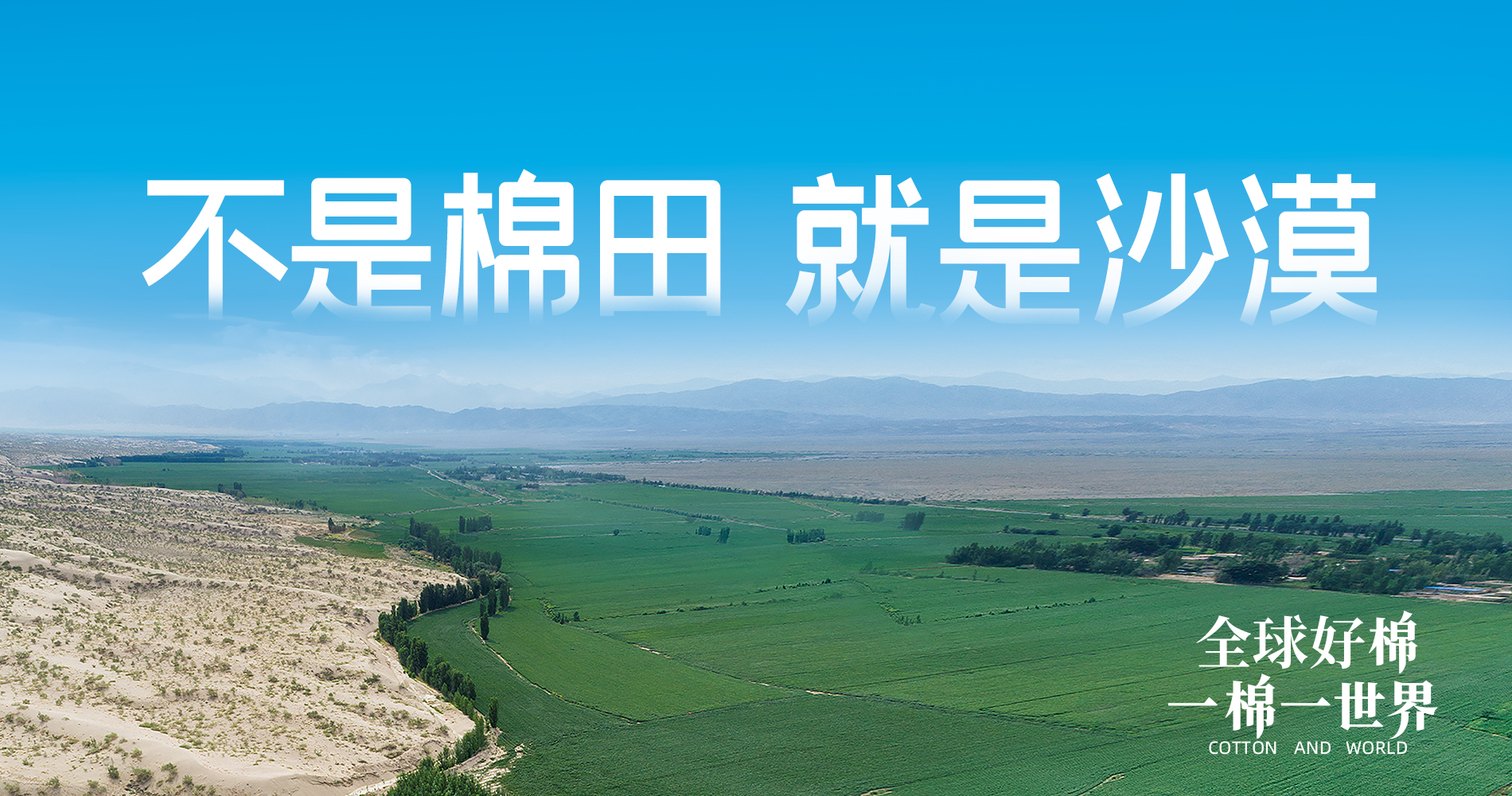 ������ʱ���Ŷ��»��Ԫ������