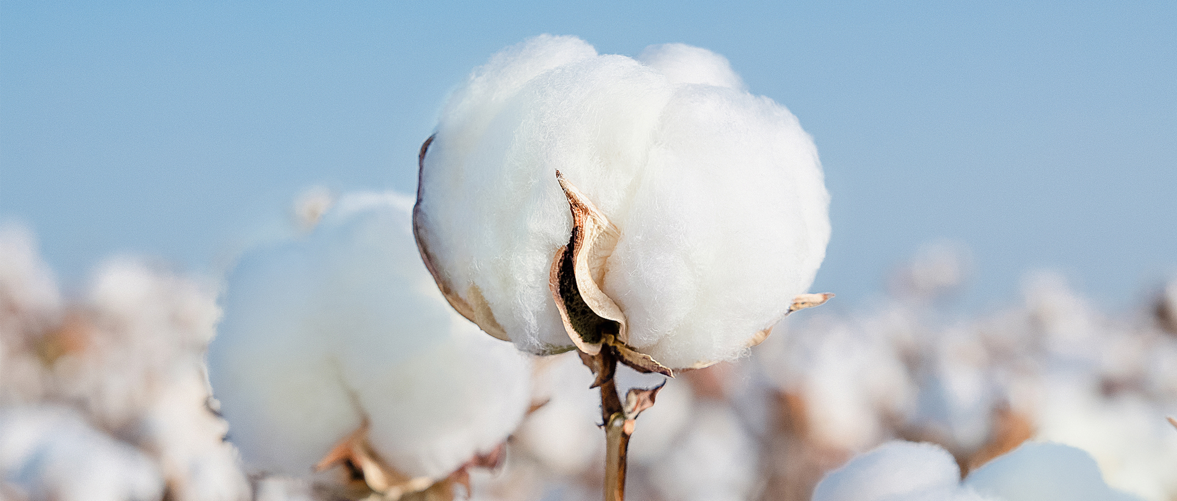 һͼ����������ʱ����2024���ESG����